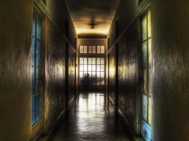 OFICINA RENTADA AL ESTADO. 1800 m² Edificados