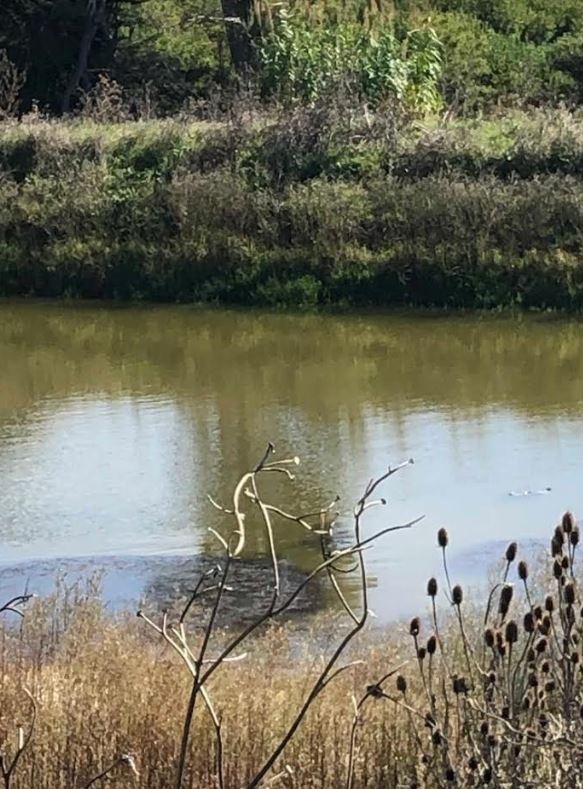 35.000 m2 en Rincón del Cerro